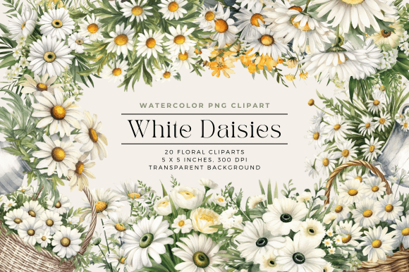 Download Watercolor White Daisies Flower Clipart - Daisies Collection