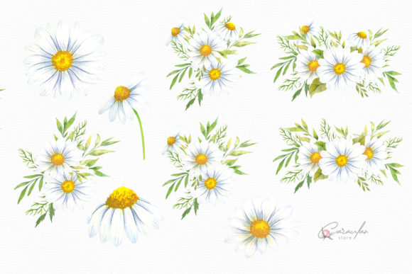 Download Watercolor Daisies Bouquets Clipart - Daisies Collection