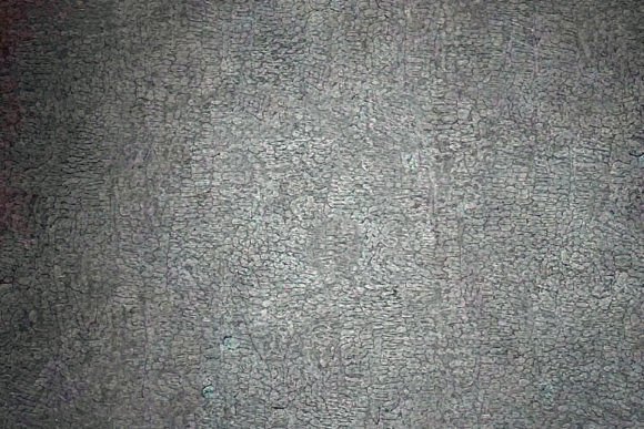 Download Textured Animal Skin Background - Texture Collection