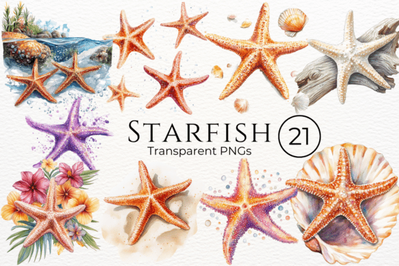 Download Starfish Watercolor Cliparts - Starfish Collection